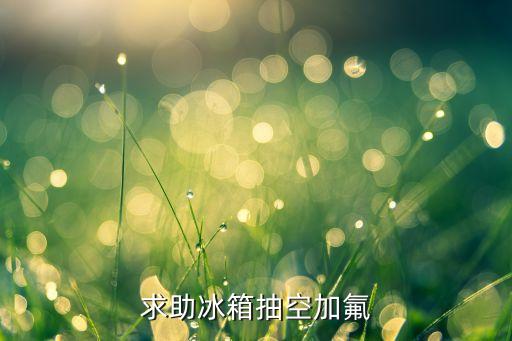 求助冰箱抽空加氟