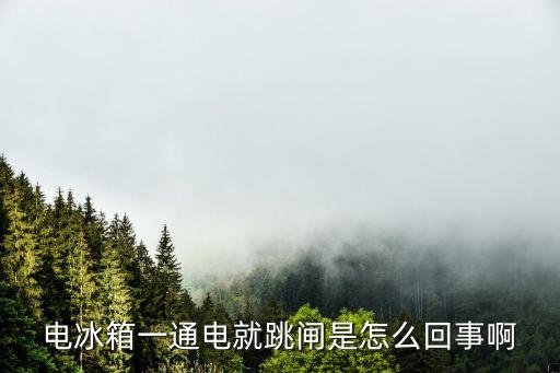 电冰箱一通电就跳闸是怎么回事啊