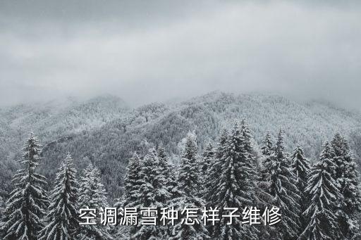 空调漏雪种怎样子维修