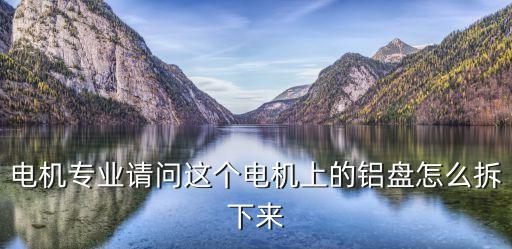 电机专业请问这个电机上的铝盘怎么拆下来