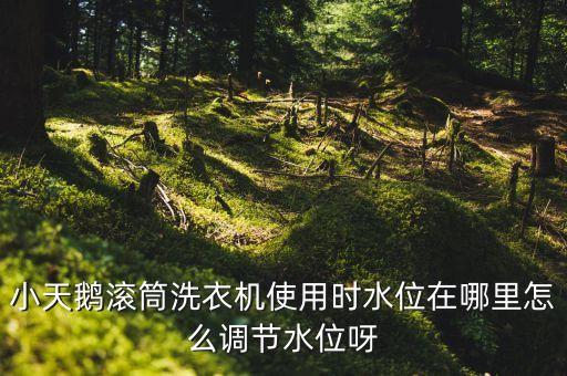 小天鹅滚筒洗衣机使用时水位在哪里怎么调节水位呀
