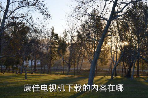 康佳电视怎么存储在，电视机不看了怎么存放呢