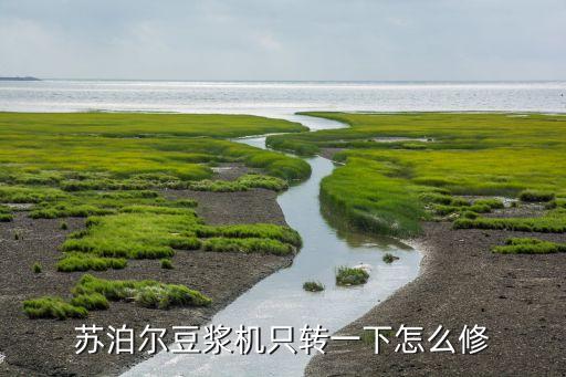 苏泊尔豆浆机只转一下怎么修
