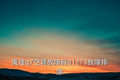 故障码01273怎么维修，奥迪a624故障码01273是什么意识
