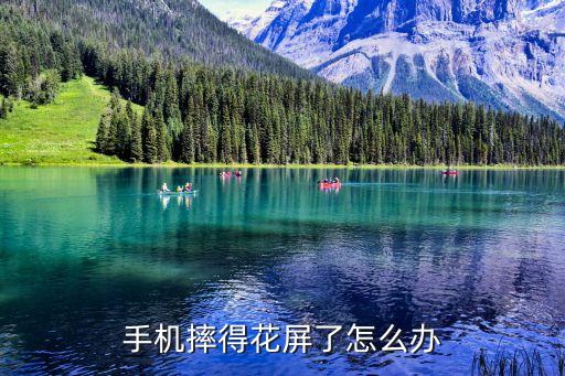 手机摔得花屏了怎么办