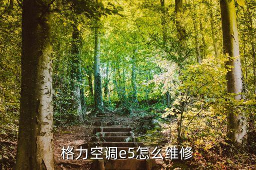 格力空调e5怎么维修