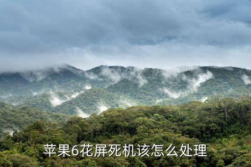 苹果6花屏死机该怎么处理
