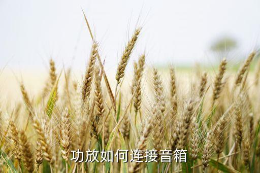 功放如何连接音箱