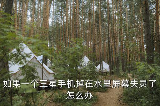 三星手机泡水了怎么办，三星手机进水怎么办