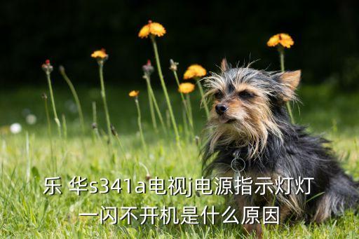 乐 华s341a电视j电源指示灯灯一闪不开机是什么原因