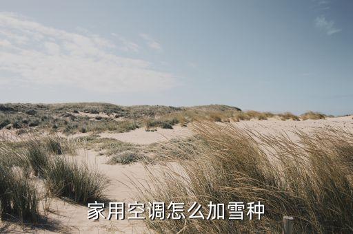 家用空调怎么加雪种