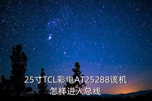 25寸TCL彩电AT25288该机怎样进入总线