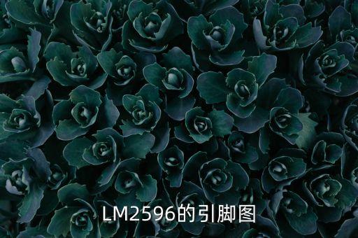 lm2596各脚怎么接，LM2596括流电路