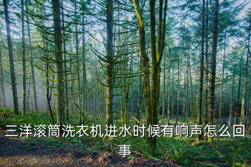 三洋滚筒洗衣机进水时候有响声怎么回事