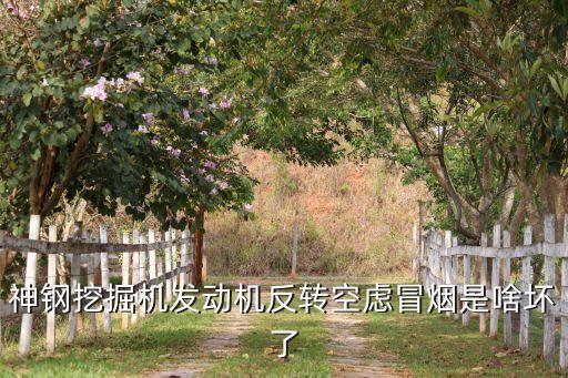 神钢260正时齿怎么对，神钢挖掘机调时间