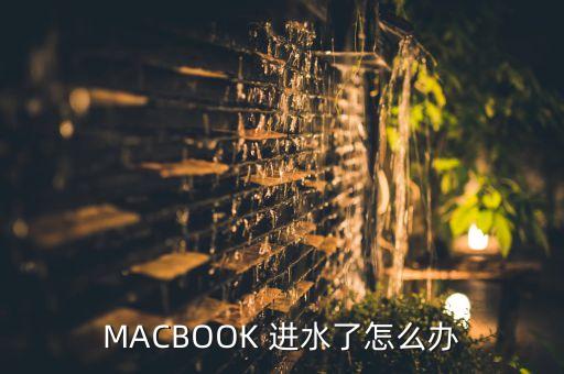苹果电脑开不了机进水怎么办呢，mac air轻微进水 无法开机