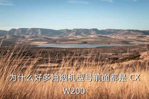 为什么好多油烟机型号前面都是 CXW200