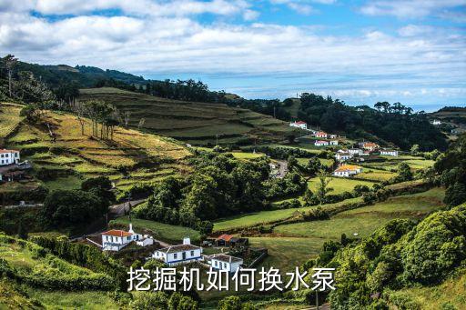 挖掘机如何换水泵