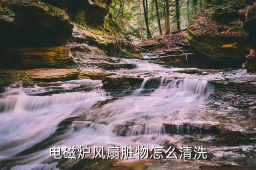 电磁炉风扇脏物怎么清洗