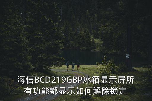 海信BCD219GBP冰箱显示屛所有功能都显示如何解除锁定
