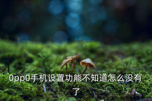 苹果手机设置怎么打不开了，为什么手机设置打不开