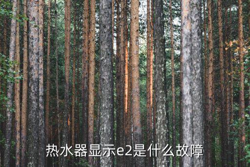 热水器报e2怎么处理，热水器上显示e2怎么解决