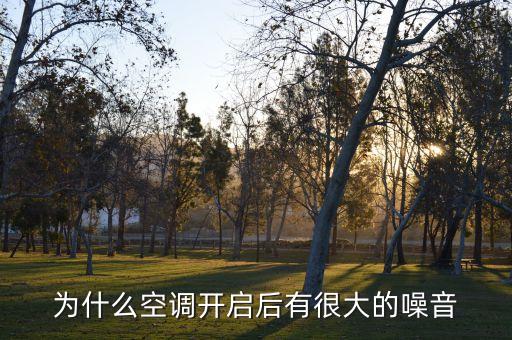 为什么空调开启后有很大的噪音