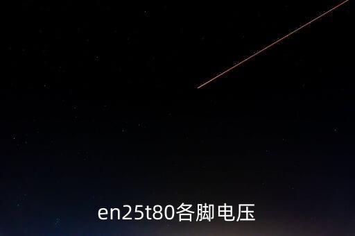 en25t80各脚电压