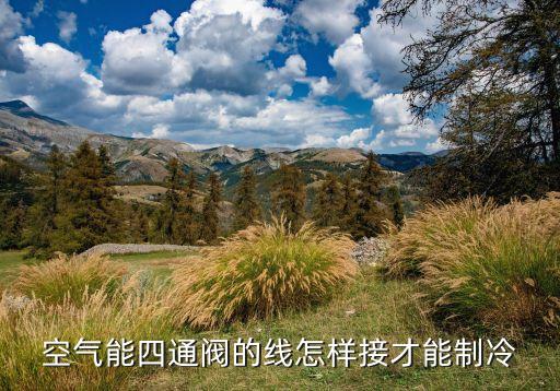 冰箱四通阀怎么接，Gree 四通阀怎样接线