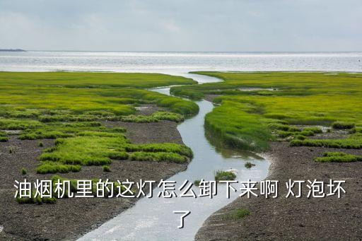 油烟机里的这灯怎么卸下来啊 灯泡坏了