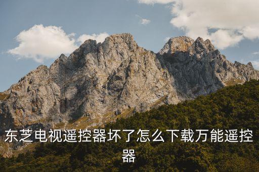 东芝电视遥控器坏了怎么下载万能遥控器
