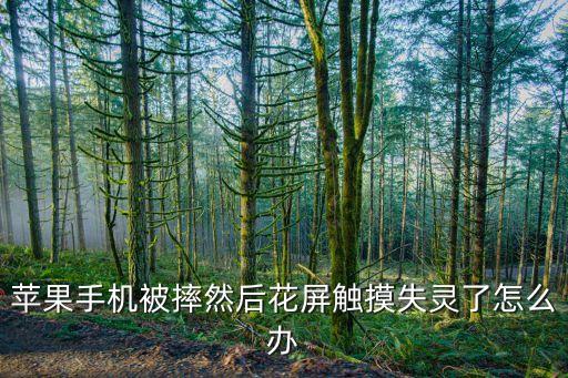 苹果手机被摔然后花屏触摸失灵了怎么办
