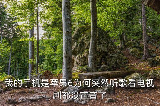 我的手机是苹果6为何突然听歌看电视剧都没声音了