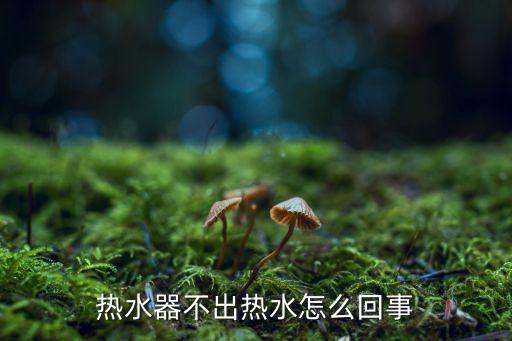 热水器不出热水怎么回事