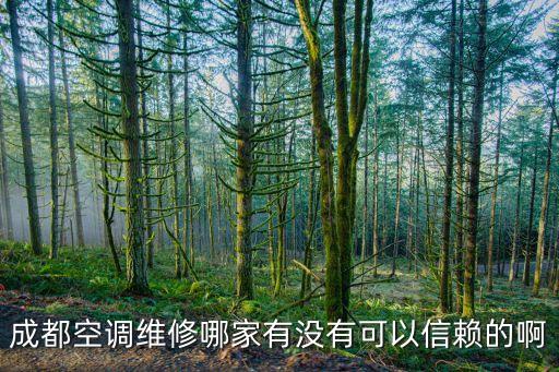 成都空调安装维修公司怎么样，成都空调维修哪家有没有可以信赖的啊